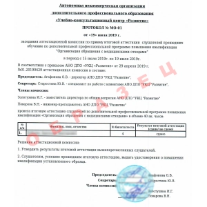 Выдаваемый протокол по программе 