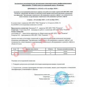 Выдаваемая копия протокола