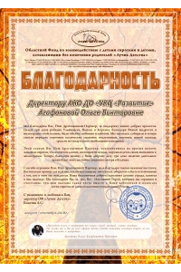 Областной фонд "Лучик Детства" 9
