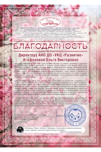 Областной фонд "Лучик Детства" 5