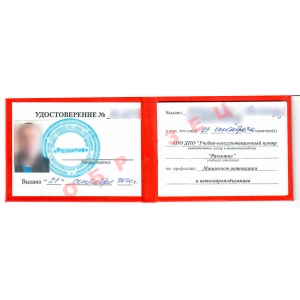 Выдаваемое удостоверение