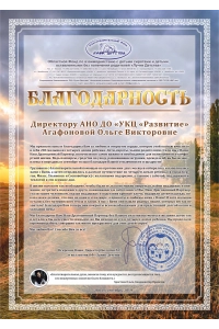 Областной фонд "Лучик Детства" 6