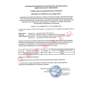 Выдаваемый протокол по программе 