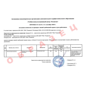 Выдаваемый протокол по программе 