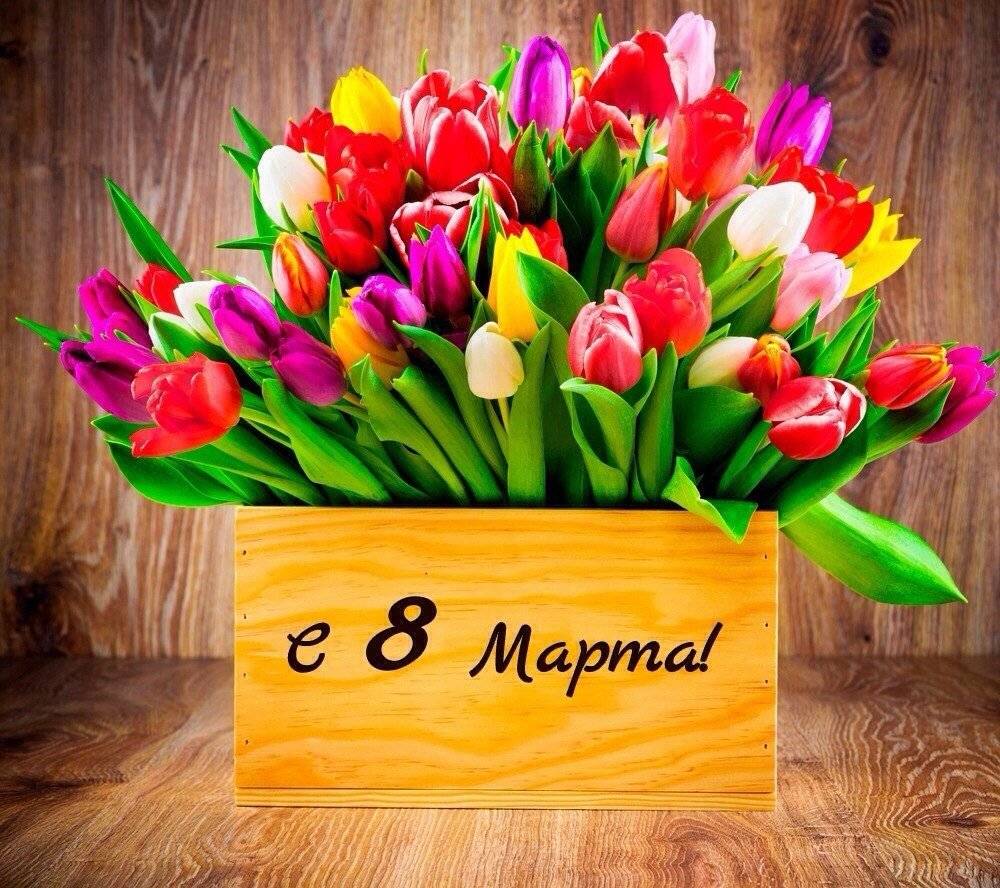 Видеопоздравление с 8 марта!